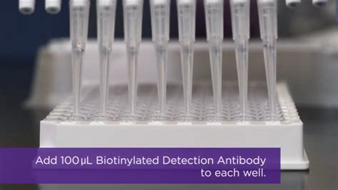 elisa kit biolegend|BioLegend elisa protocol.